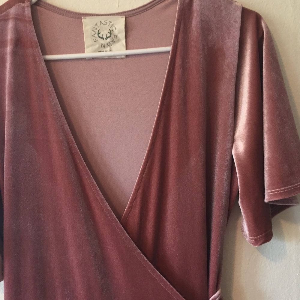 Fantastic Fawn pink velvet dress large